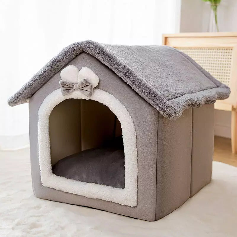 Casa Pelúcia - Cachorros e Gatos